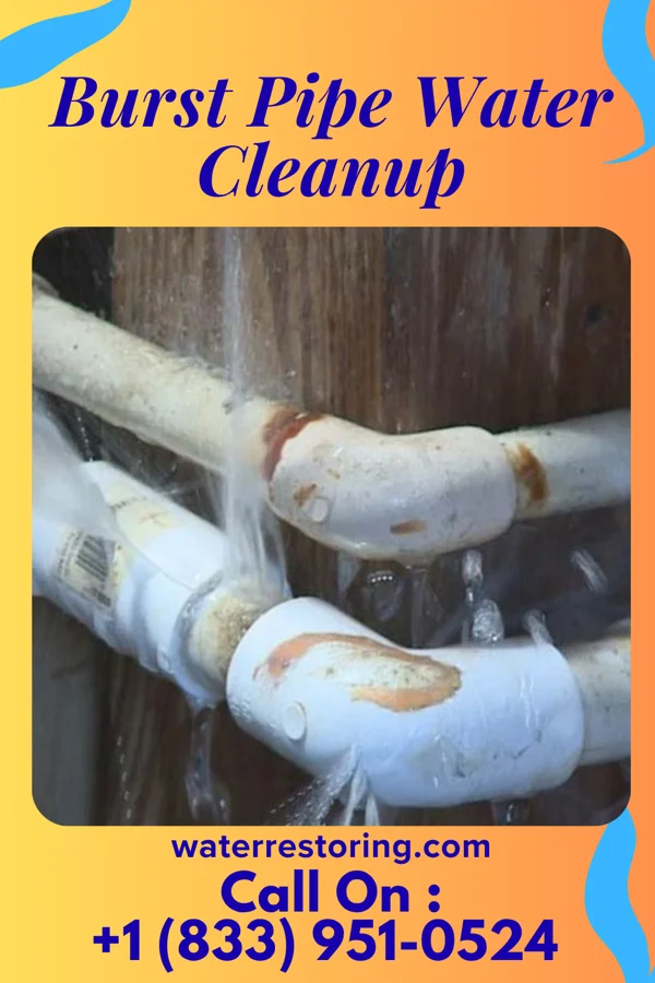 Burst Pipe Water Cleanup in Girard, PA