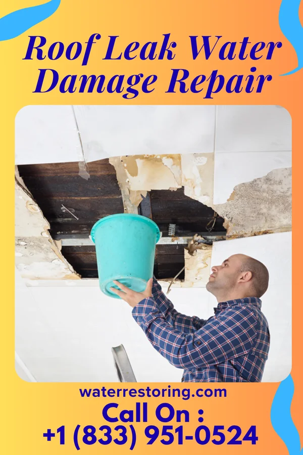 Roof Leak Water Damage Repair in Girard, PA