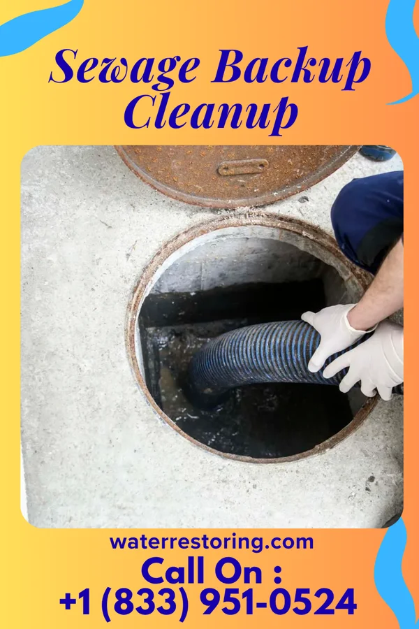 Sewage Backup Cleanup in Girard, PA