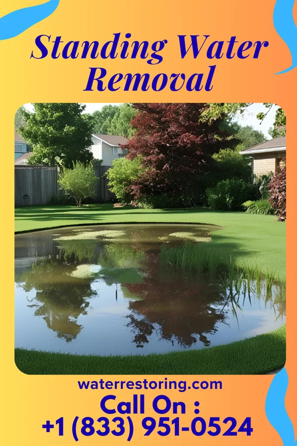 Standing Water Removal in Girard, PA